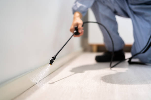 Certified termite inspector examining foundation in Marana